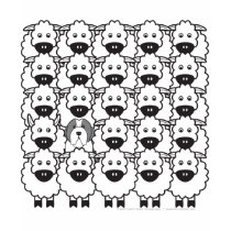 Bearded Collie in the Sheep t-shirts