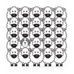 Bearded Collie in the Sheep t-shirts