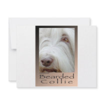 Bearded Collie Invites