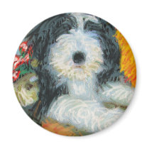 Bearded Collie Fridge Magnets