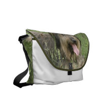Bearded Collie Messenger Bag