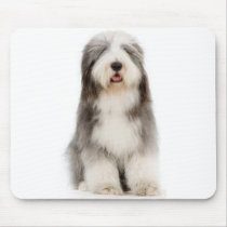 Bearded Collie Mousepad by ValentinaRose Bearded Collie Mousepad