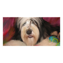 Bearded Collie Photo Card Template