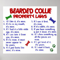 BEARDED COLLIE PL2 PRINT