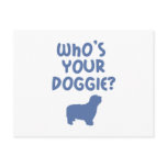 Bearded Collie