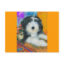 Bearded Collie Postcards
