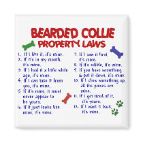 BEARDED COLLIE Property Laws 2 Magnet