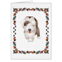 Bearded Collie Puppy