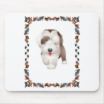Bearded Collie Puppy
