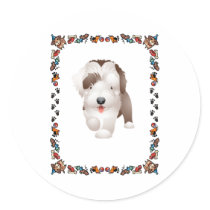 Bearded Collie Puppy