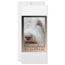 Bearded Collie Rack Cards
