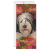 Bearded Collie Rack Card Template