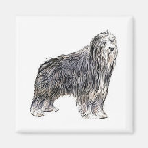 Bearded Collie Refrigerator Magnet