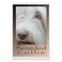 Bearded Collie Stationery