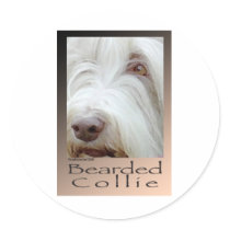Bearded Collie Round Sticker