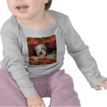 Bearded Collie Tee Shirts