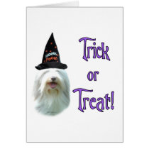 Bearded Collie Trick cards