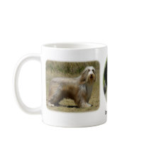 Bearded Collie x 3 mugs by TraffordPhotos Bearded Collie x 3 mugs