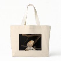 Bearded dragon 2 canvas bags