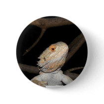 Bearded dragon 2 pinback button