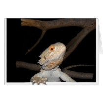 Bearded dragon 2 greeting card