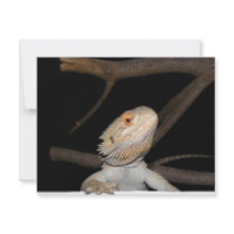 Bearded dragon 2 invitations