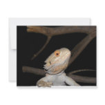 Bearded dragon 2 personalized invitations