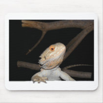 Bearded dragon 2 mouse pads