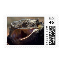 Bearded Dragon, Australia Postage Stamp