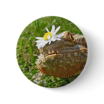 Bearded dragon buttons