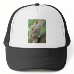 Bearded Dragon Mesh Hat
