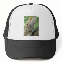 Bearded Dragon hats by Natures_Whisper Bearded Dragon hats