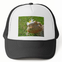 Bearded dragon hats