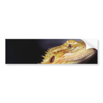 Bearded Dragon Head 2 Bumper Sticker