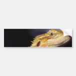 Bearded Dragon Head 2 Bumper Sticker