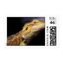 Bearded Dragon Head 2 Stamp