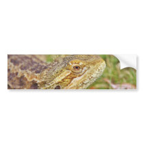 Bearded Dragon Head Bumper Stickers
