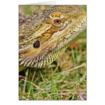 Bearded Dragon Head Greeting Card