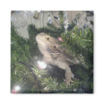 bearded dragon in xmas tree magnets by gizmo2025 bearded dragon in xmas tree magnets