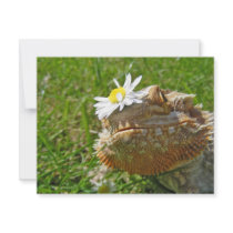 Bearded dragon invitations