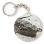 Bearded Dragon Keyring Keychains