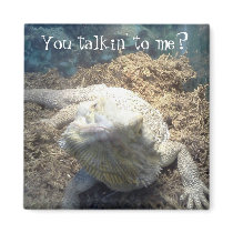 Bearded Dragon Magnet