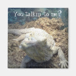 Bearded Dragon Magnet