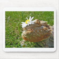 Bearded dragon mouse pads