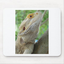 Bearded Dragon Mousepad