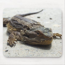 Bearded Dragon Mousepad