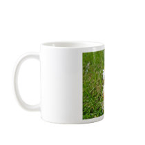 Bearded dragon mugs