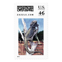 Bearded Dragon postage