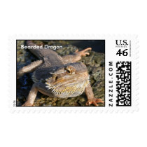 Bearded Dragon Postage Stamp
