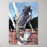 Bearded Dragon posters
